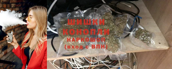 мдпв Грязовец