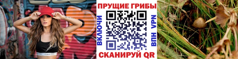 это как зайти  Партизанск  Галлюциногенные грибы прущие грибы  дарнет шоп 