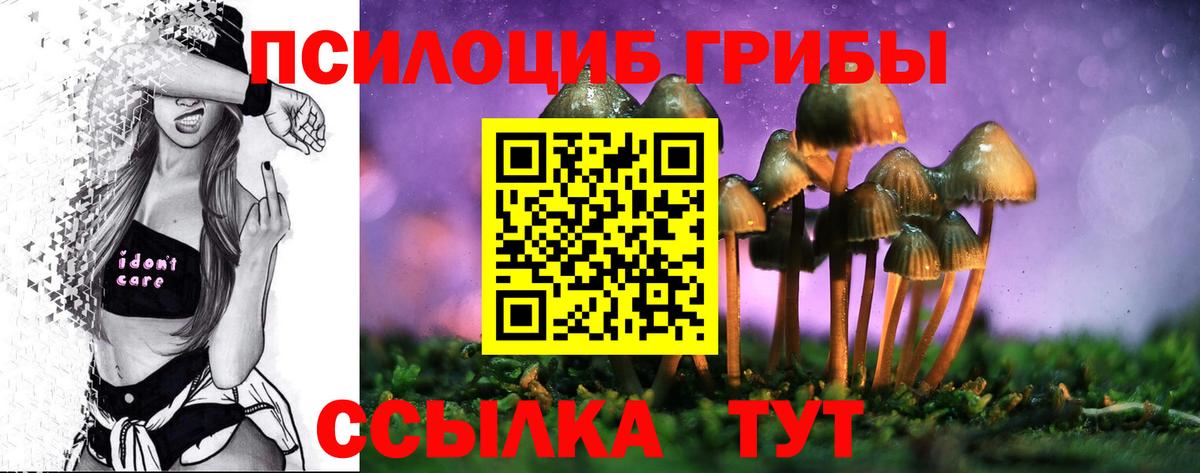 Псилоцибиновые грибы Psilocybine cubensis Партизанск